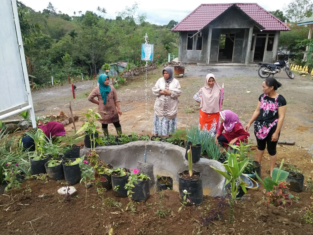 Tanaman Apotik Hidup Kampung Bener Meriah 